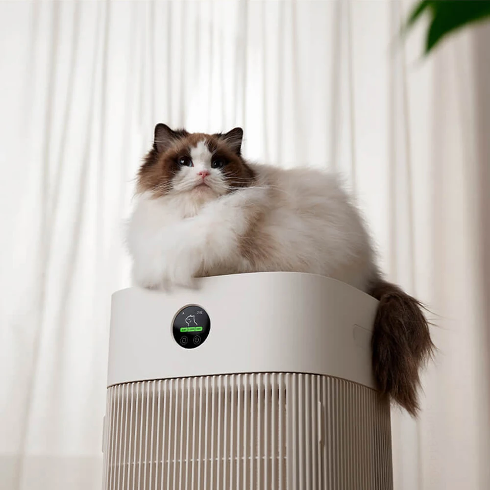Kattenhaar absorbeert snel hon - Hair Care recensie en prijs